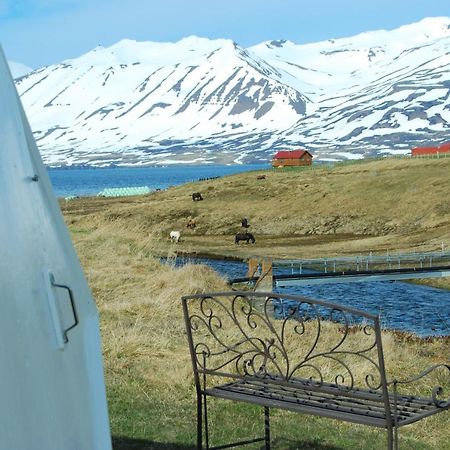 Sky Sighting Igluhus - Stay'In Arbakki Arskogssandur Eksteriør bilde