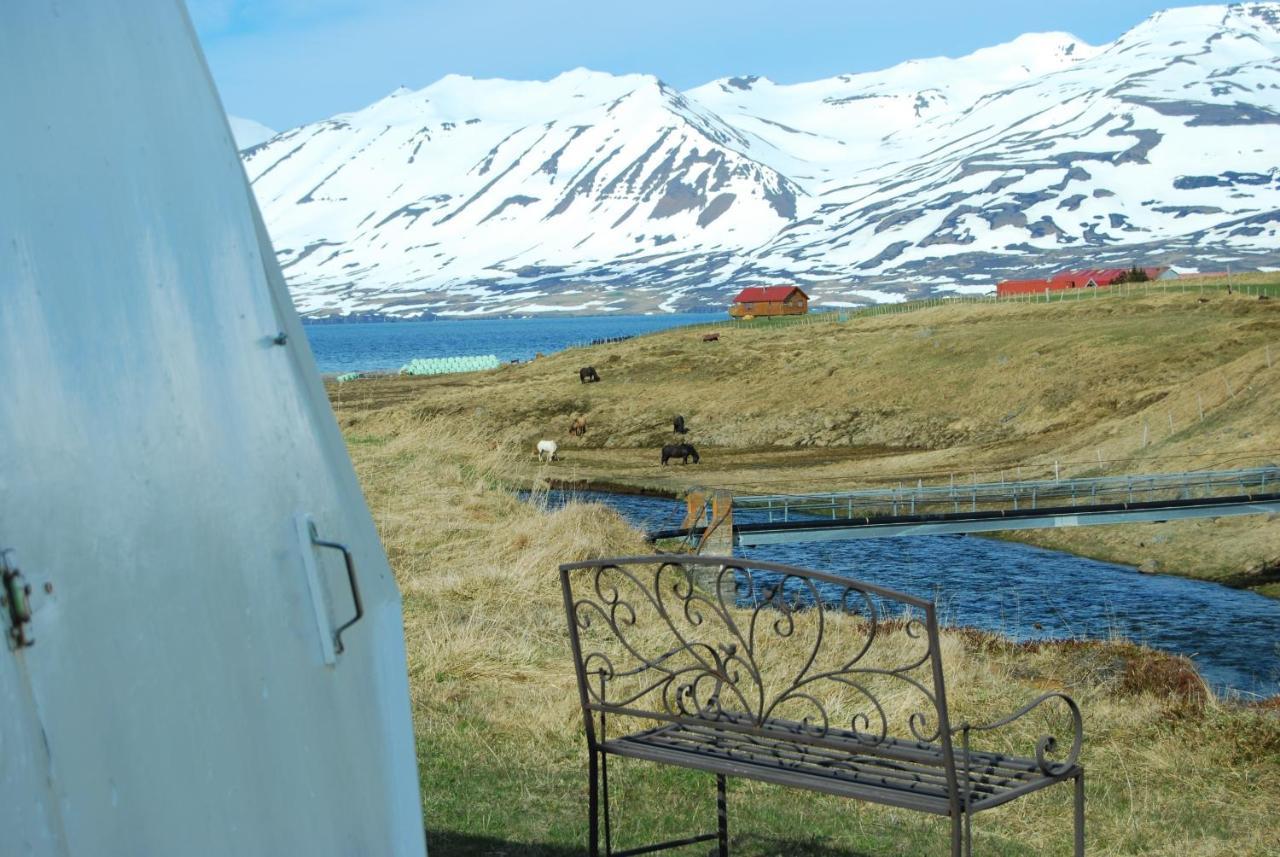 Sky Sighting Igluhus - Stay'In Arbakki Arskogssandur Eksteriør bilde
